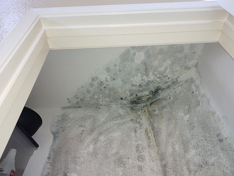 Mold-Remediation - Before - Bill Howe Restoration and Flood
