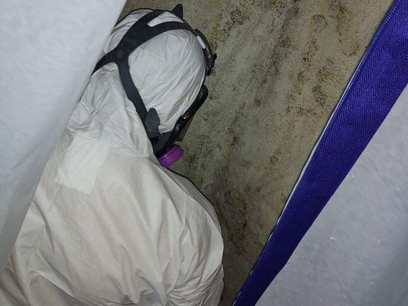 Mold-Remediation - During - Bill Howe Restoration and Flood