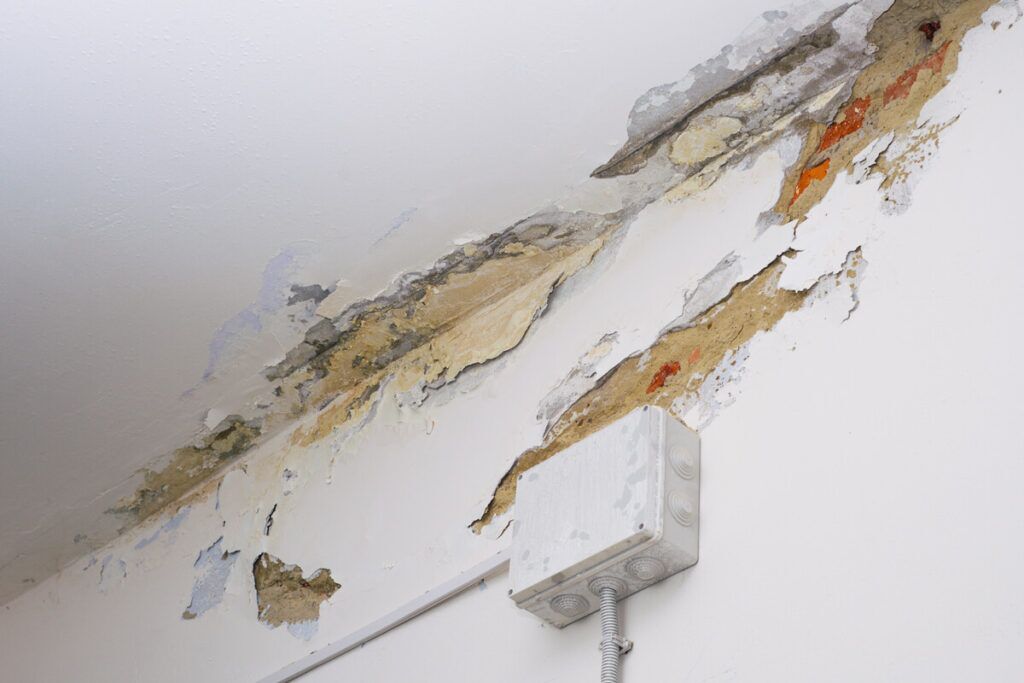 Emergency Restoration Services in San Diego, CA - Bill Howe