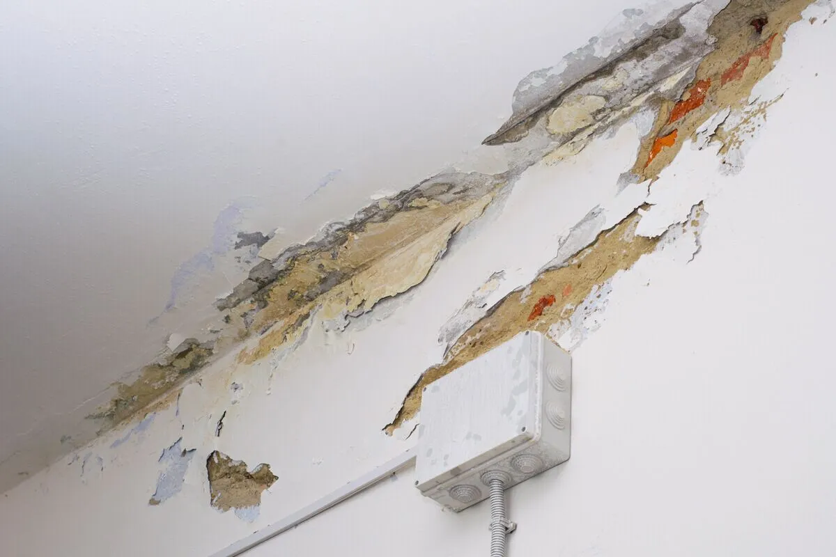 Drywall and Plaster Repair