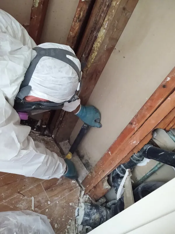 Mold-Removal-Bill-Howe-Restoration-and-Flood