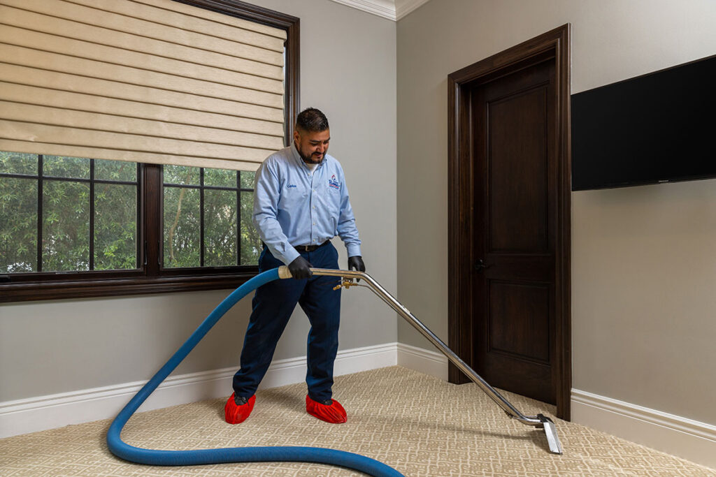 Water mitigation services