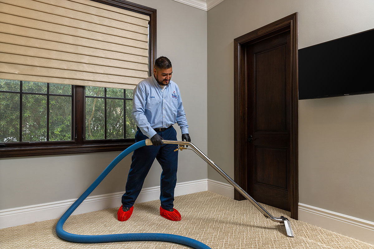 Water mitigation services