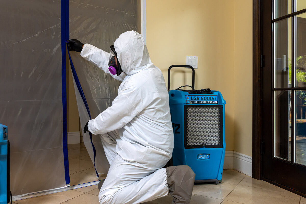 Best Mold Remediation & Removal Services in San Diego