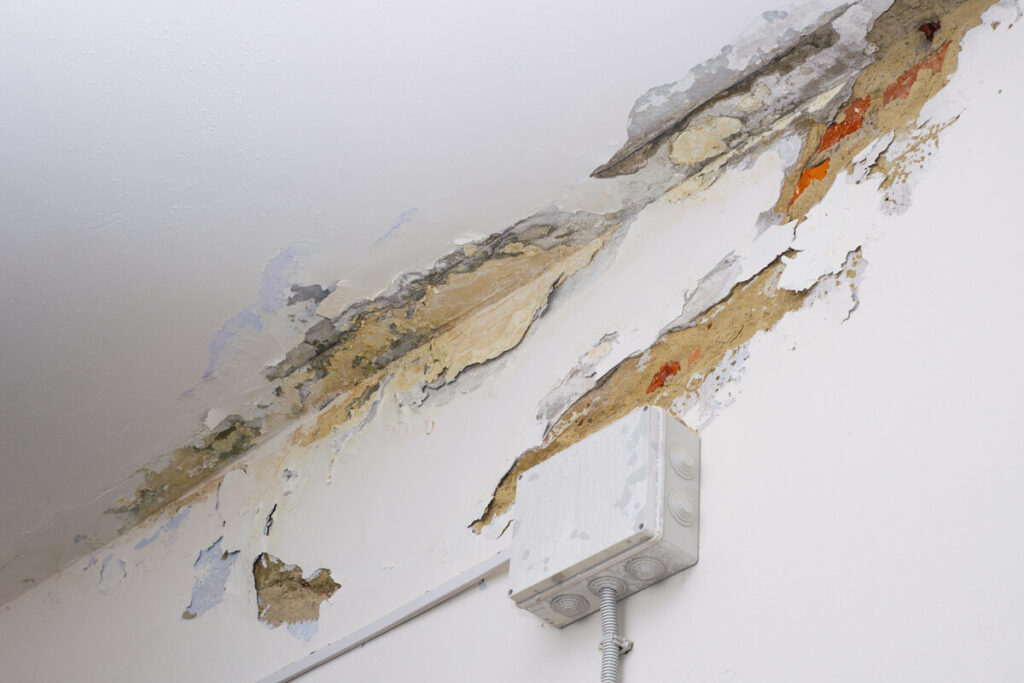 Emergency Restoration Services in San Diego, CA - Bill Howe