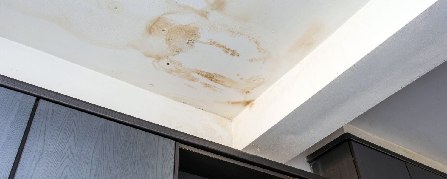 Signs of Water Damage: What Does It Look Like?