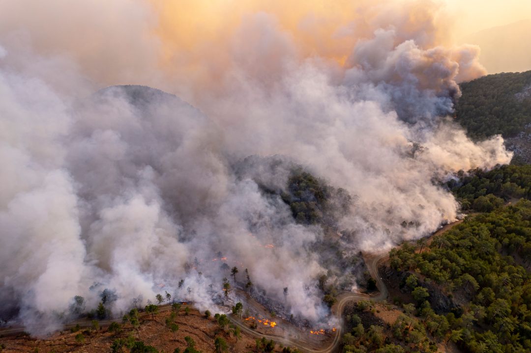 What to Do If Wildfire Smoke or Soot Gets Inside Your San Diego Home